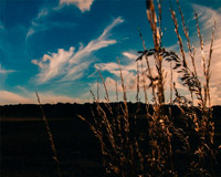 攻击网站在线工具