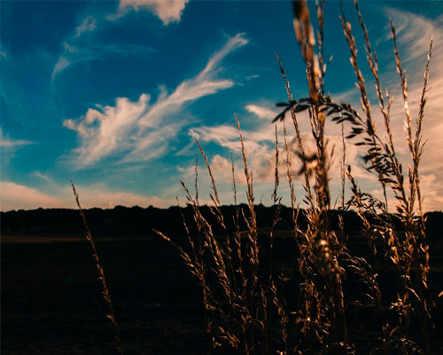 DDOS在线攻击平台