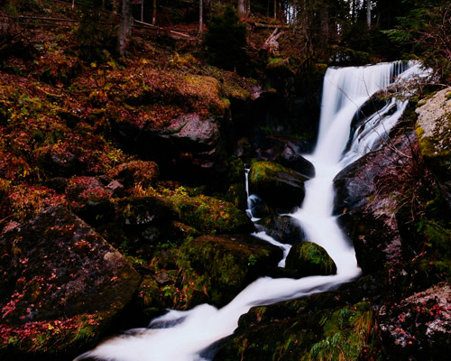 服务器攻击方式