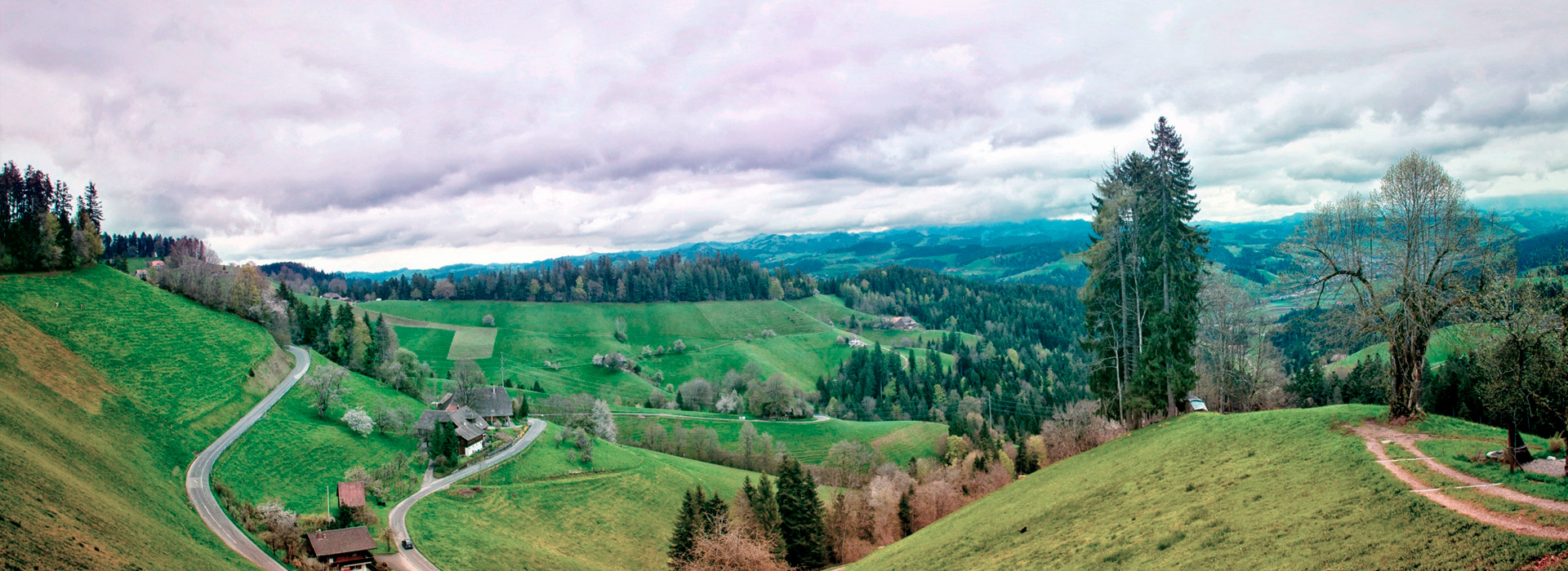 批发价格实惠的doss网站攻击